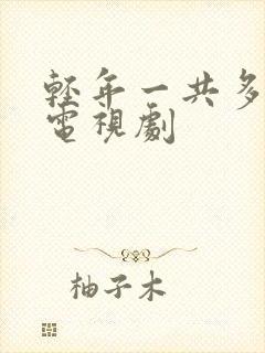轻年一共多少集电视剧