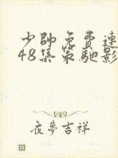 少帅免费连续剧48集策驰影视