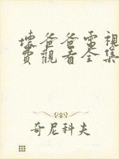 坏爸爸电视剧免费观看全集高清