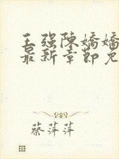 王强陈娇娇穿越最新章节免费阅读小说