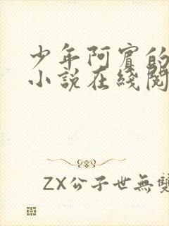 少年阿宾的故事小说在线阅读封面