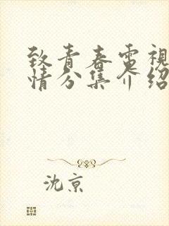 致青春电视剧剧情分集介绍封面