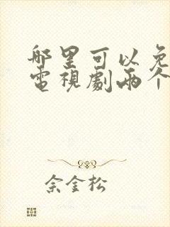 哪里可以免费看电视剧两个人的小森林