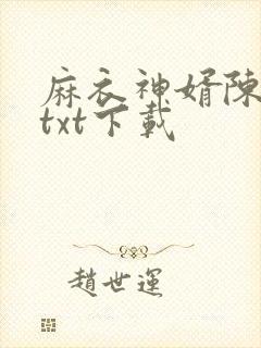 麻衣神婿陈黄皮txt下载封面