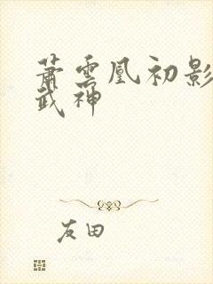 萧云凰初影荒古武神