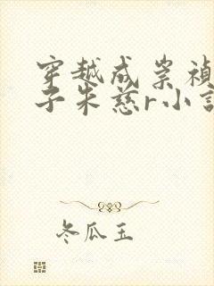 穿越成崇祯的太子朱慈r小说