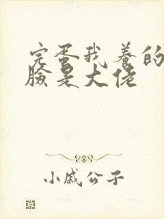 完蛋我养的小白脸是大佬