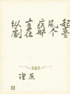 纵有疾风起电视剧在哪个台