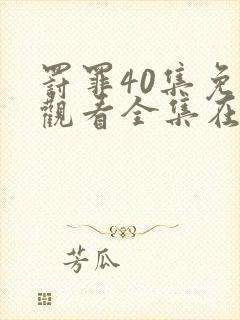 罚罪40集免费观看全集在线