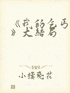 《我的乞丐老婆》大结局