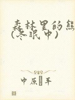 森林里的熊先生(冬眠中)封面