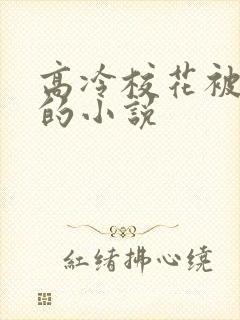 高冷校花被囚禁的小说