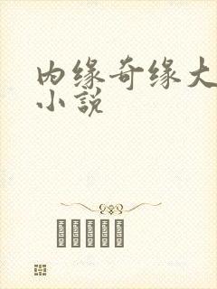 内缘奇缘大团圆小说