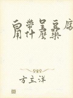 白带呈豆腐渣状用什么药