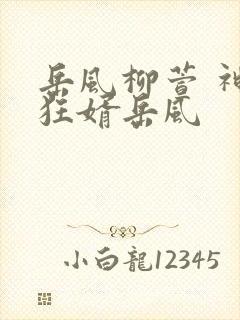 岳风柳萱 神级狂婿岳风