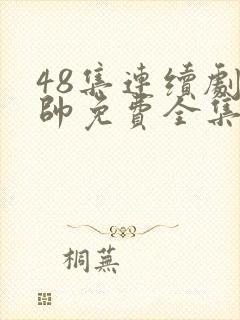 48集连续剧少帅免费全集观看