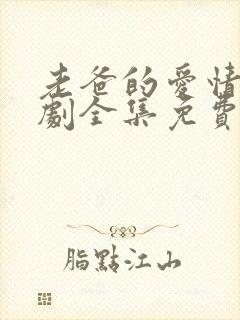 老爸的爱情电视剧全集免费观看