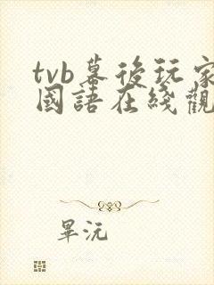 tvb幕后玩家国语在线观看