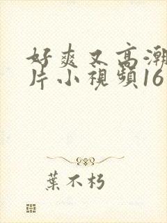 好爽又高潮了毛片小视频16