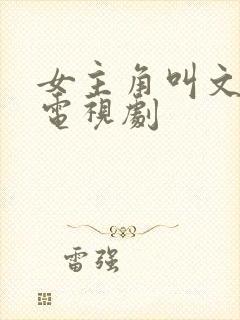 女主角叫文静的电视剧