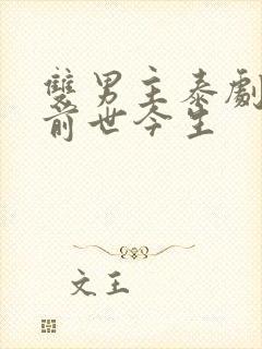 双男主泰剧穿越前世今生封面