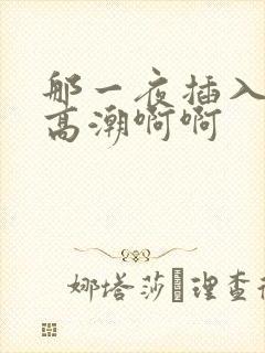 那一夜插入少妇高潮啊啊