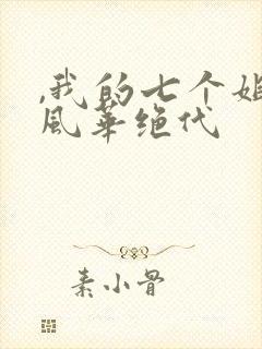 ,我的七个姐姐风华绝代