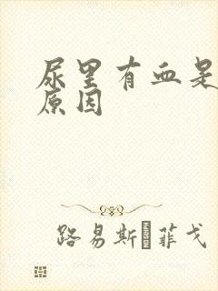 尿里有血是什么原因