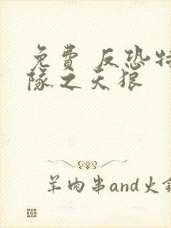 免费 反恐特战队之天狼