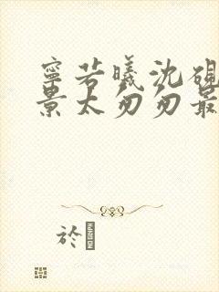 宁若曦沈砚舟盛景太匆匆最新章节在线阅读