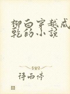 柳白穿越成李承乾的小说