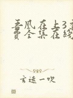 吾凰在上3季免费全集在线观看