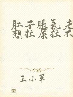 肚子胀气老放屁想拉屎拉不出来怎么回事