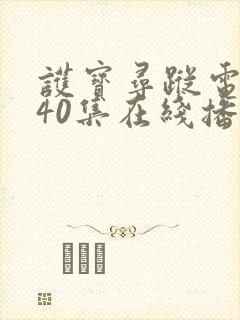 护宝寻踪电视剧40集在线播放封面