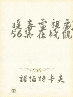 暖春电视剧全集56集在线观看