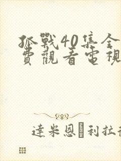 孤战40集全免费观看电视剧封面