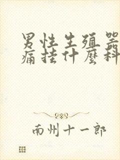 男性生殖器边缘痛挂什么科封面