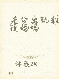 老公出轨离婚会复婚吗封面