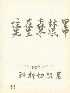 住在森林里的熊先生冬眠中