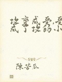 攻变成受,受变成了攻的小说