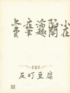 冬夜沦陷小说免费笔趣阁在线阅读全文