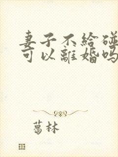 妻子不给碰丈夫可以离婚吗