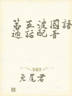 第五波国语版普通话配音