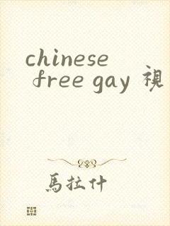 chinese free gay 视频