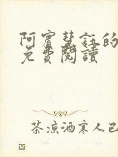 阿宾慧钰的小说免费阅读