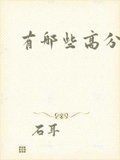 有哪些高分美剧