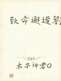 致命邂逅刘小寐