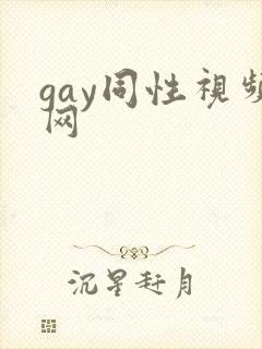 gay同性视频网