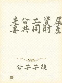 老公工资属于夫妻共同财产吗