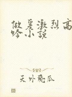 做爰激烈高潮呻吟小说